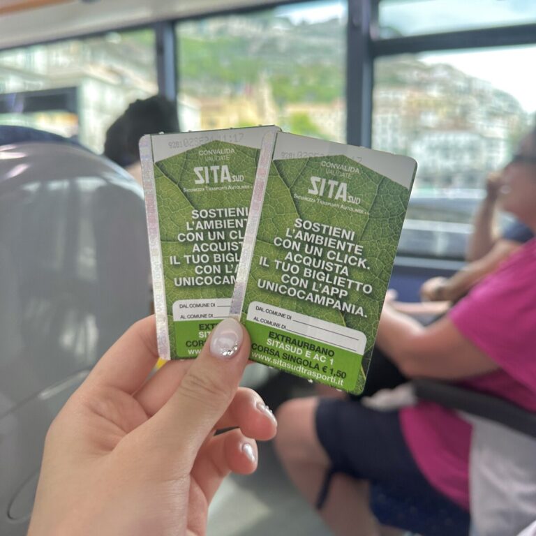 시타버스 티켓 탑승 후