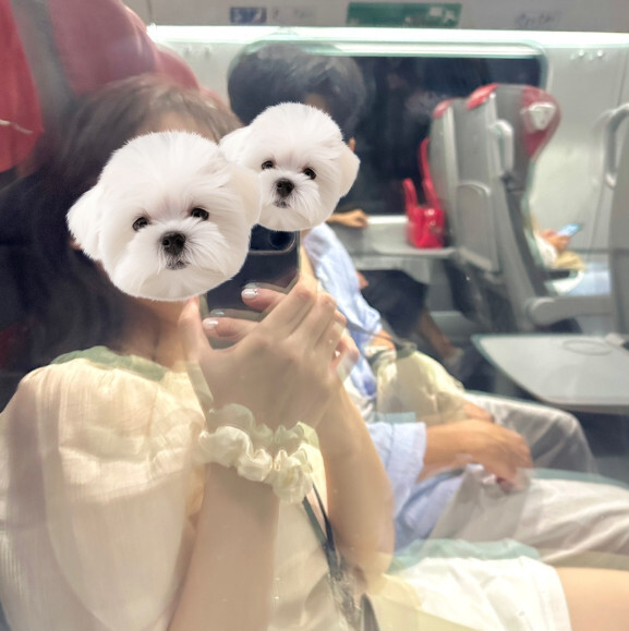 살레르노로 가는 기차 안